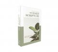  Niv, Daily Scripture, Paperback, White/Sage, Comfort Print: 365 Days to Read Through the Whole Bible in a Year 