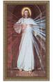  Picture Divine Mercy LARGE Skemp 36 x 60 inch 