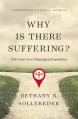  Why Is There Suffering?: Pick Your Own Theological Expedition 