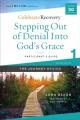  Stepping Out of Denial Into God's Grace Participant's Guide 1: A Recovery Program Based on Eight Principles from the Beatitudes 