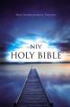  Value Outreach Bible-NIV 