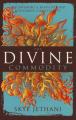  The Divine Commodity: Discovering a Faith Beyond Consumer Christianity 