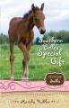  Southern Belle's Special Gift: 3 