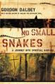  No Small Snakes: A Journey Into Spiritual Warfare 