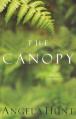  The Canopy 