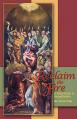  Reclaim the Fire: A Parish Guide to Evangelization 