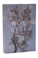  NRSV Catholic Edition Bible, Eucalyptus Paperback (Global Cover Series): Holy Bible 