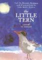  The Little Tern: A Story of Insight 