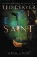  Saint: A Paradise Novel 