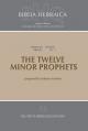  The Twelve Minor Prophets (Softcover) 