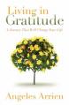  Living in Gratitude: Mastering the Art of Giving Thanks Every Day, a Month-By-Month Guide 