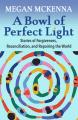  A Bowl of Perfect Light: Stories of Forgiveness, Reconciliation and Repairing the World 