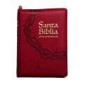  Santa Biblia 