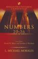  Numbers 20-36 