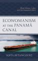  Ecowomanism at the Panamaa Canal: Black Women, Labor, and Environmental Ethics 