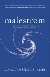  Malestrom: Manhood Swept Into the Currents of a Changing World 