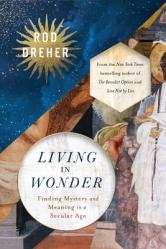  Living in Wonder: Finding Mystery and Meaning in a Secular Age 