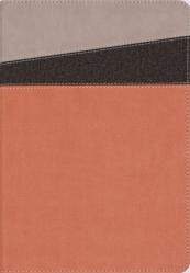  NIV Application Bible, Leathersoft, Coral/Gray, Red Letter, Thumb Indexed, Comfort Print: Bringing the Ancient Message of the Bible Into Your World 