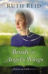  Brush of Angel\'s Wings 