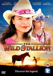  The Wild Stallion 