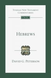  Hebrews: An Introduction and Commentary 