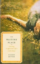  The Waiting Place: Learning to Appreciate Life\'s Little Delays 