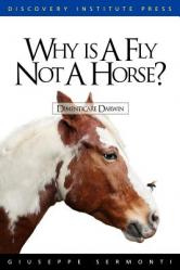  Why is a Fly Not a Horse? 