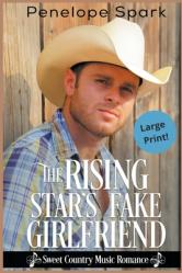  The Rising Star\'s Fake Girlfriend 