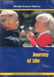  Journey of Life 