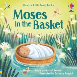  Moses in the Basket 