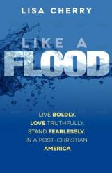  Like a Flood: Live Boldly. Love Truthfully. Stand Fearlessly. In a Post Christian America 