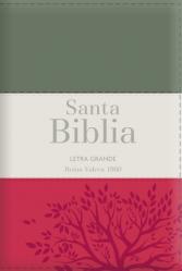  Biblia Rvr60 Letra Grande - Tama 